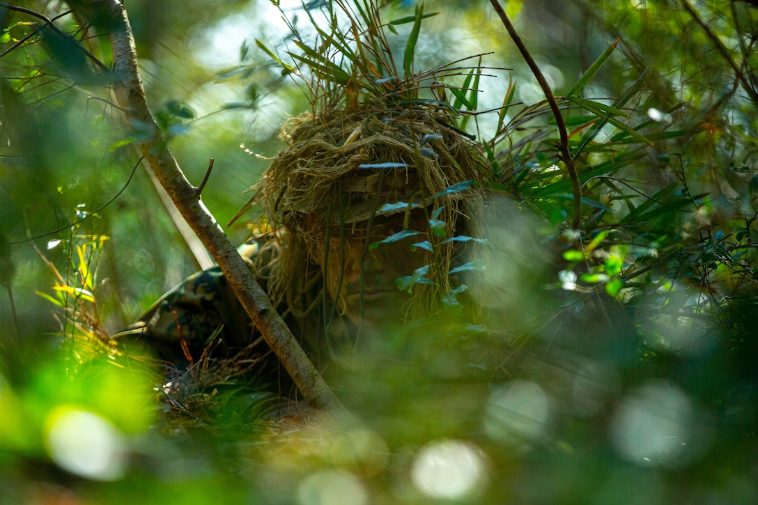 U.S. Marine Corps Cpl. Cameron Scott, a native of Rogers, Ark. and a light armored reconnaissance Marine with 2nd Light Armored Reconnaissance Battalion, 2nd Marine Division, participates in a camouflage class during Littoral Exercise I in Parris Island, S.C., Jan. 26, 2022. During LEX I, Marines and Sailors aboard the Wichita and on various bases throughout the East Coast will be conducting new types of training to prepare for future scenarios in littoral environments. They will be experimenting with new tactics and training with multi-domain reconnaissance and counter-reconnaissance teams in accordance with Force Design 2030.