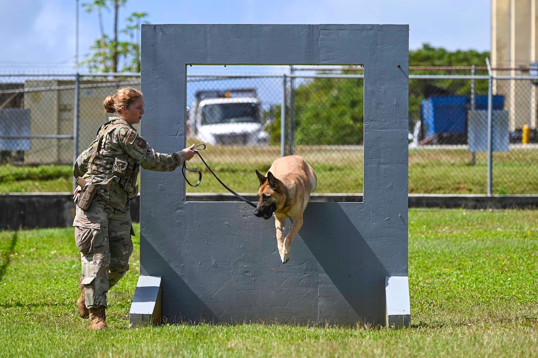An airman holds a dog on a leash as it goes through an obstacle.