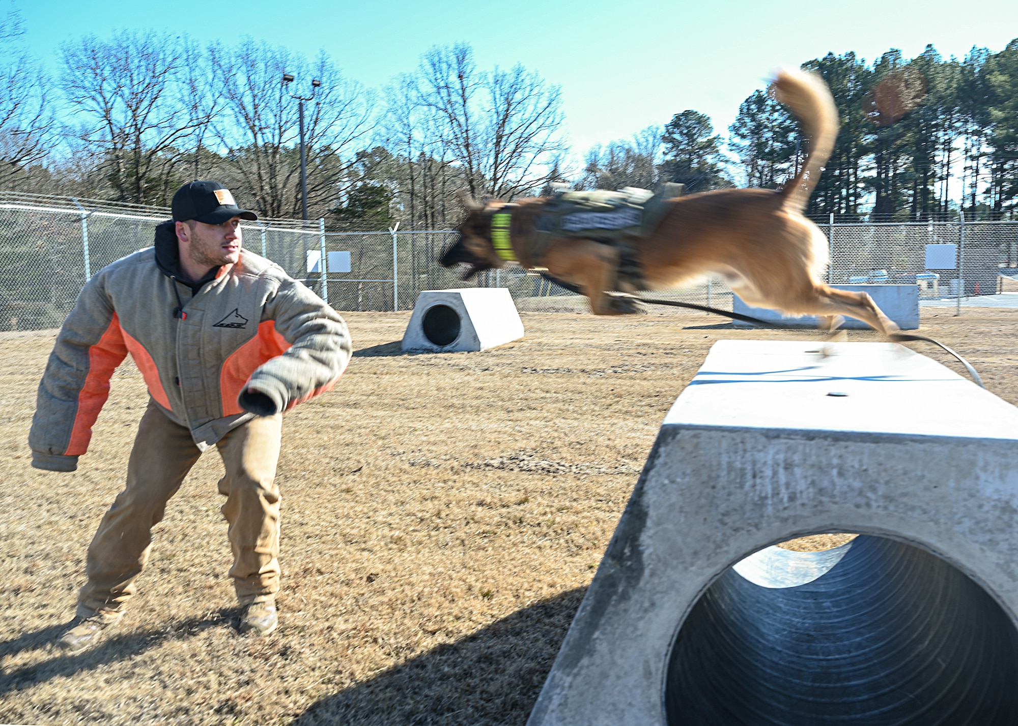 A military working dog performs routine training