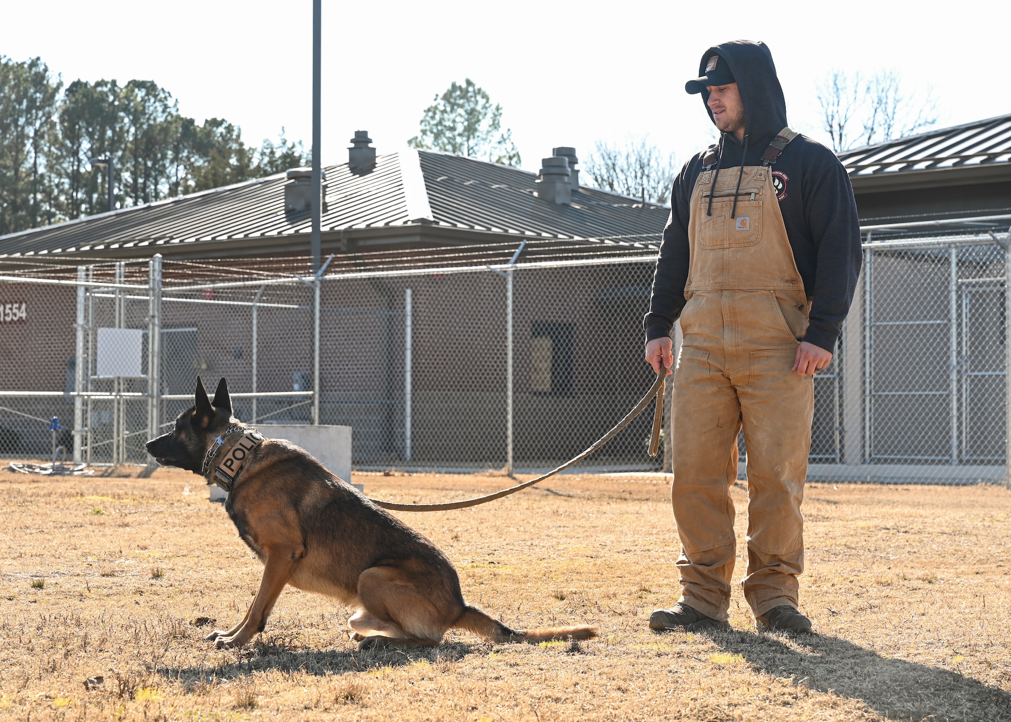 A military working dog performs routine training