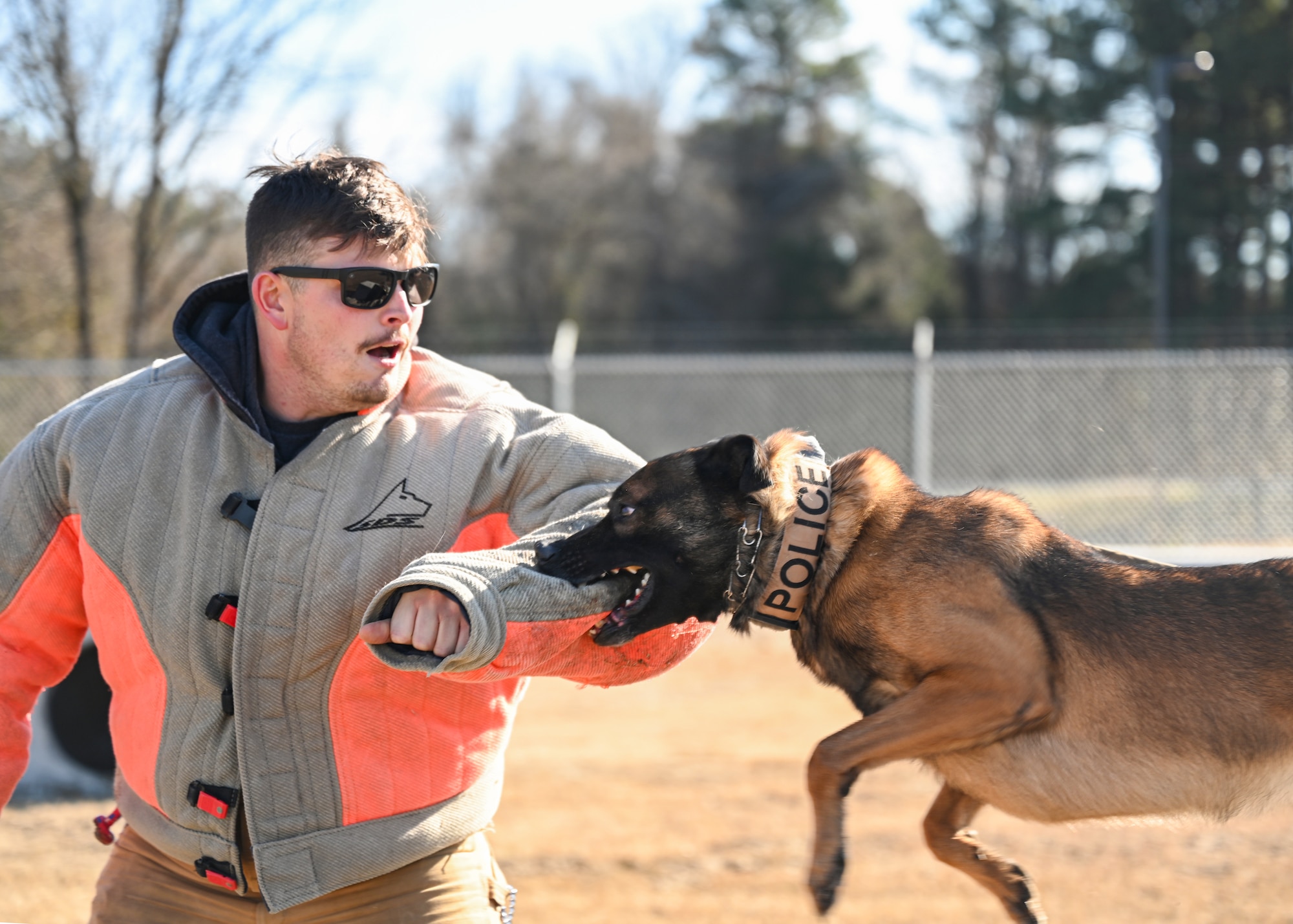 A military working dog performs routine training