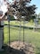 Volunteer caring for tree in park