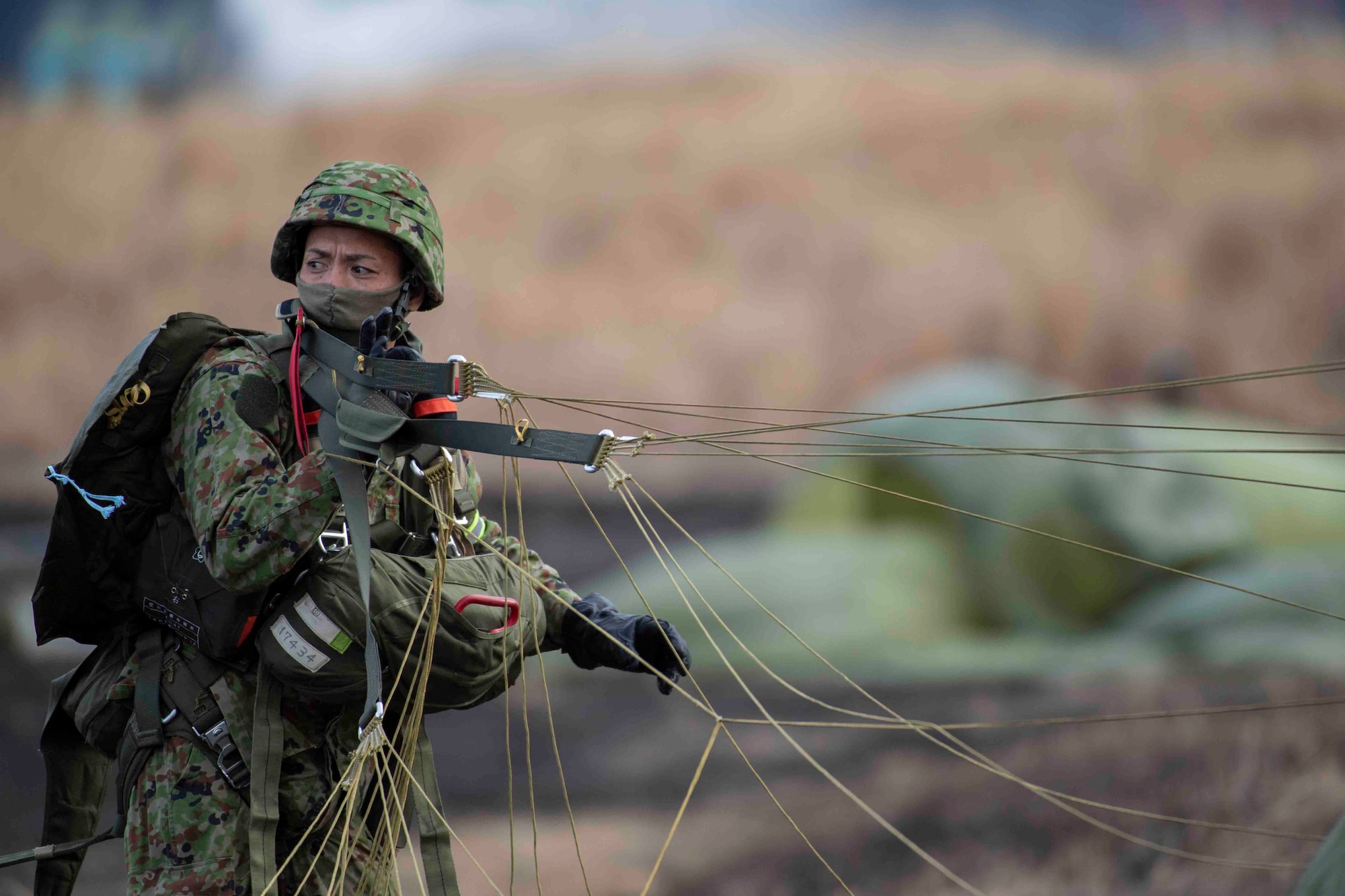 A Japan Ground Self-Defense Force paratrooper assigned to the 1st Airborne Brigade gathers his parachute after landing at the drop zone at Combined Arms Training Center Camp Fuji, Japan, Jan. 25, 2022, during Airborne 22.