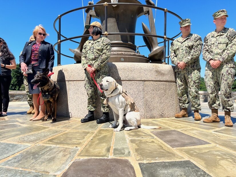Service members and civilians stand on an outdoor patio with two dogs