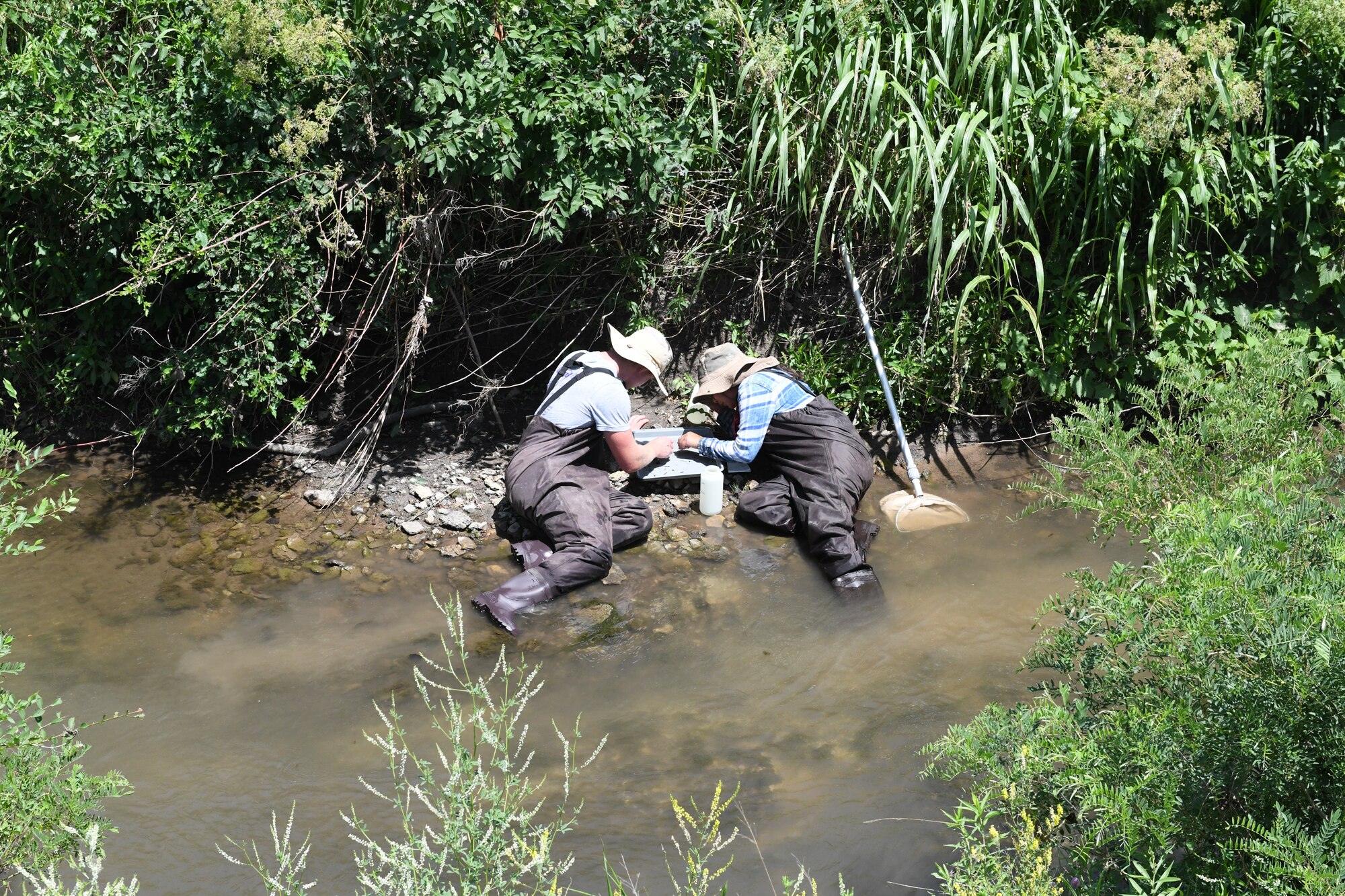 Kansas State University graduate students Josh Wurtz (left) and Daryline Dayzie (right) sift through water collected along the shore of McConnell Creek to pull splinter-sized invertebrates from their samples as part of a site assessment on June 16, 2022, at McConnell Air Force Base, Kansas. The students' visit began an erosion control project involving documenting the health and density of the river's aquatic population and modifying the shoreline of McConnell Creek to evaluate change. (U.S. Air Force photo by John Van Winkle)
