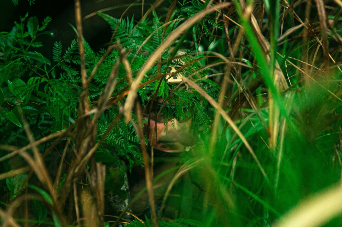 A Marine camouflages in the jungle.