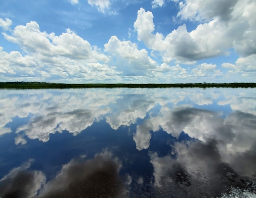 Salt marsh located in the Satilla River estuary, Georgia near the Noyes Cut project site in November 2020.