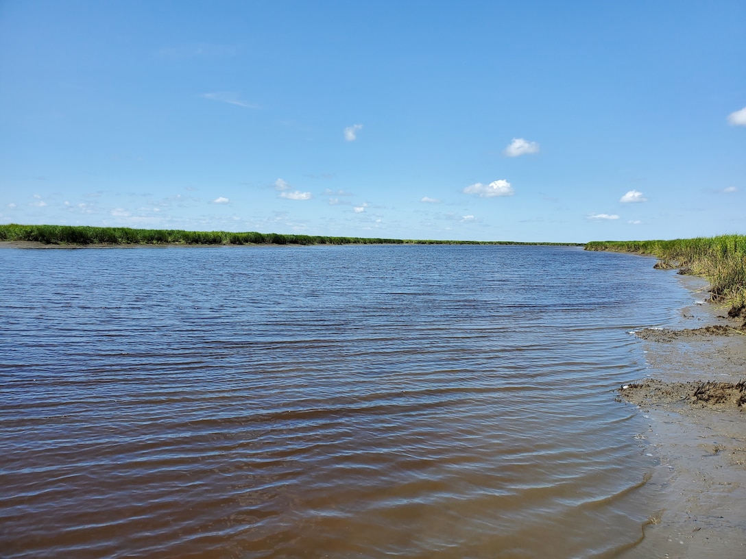 Salt marsh located in the Satilla River estuary, Georgia near the Noyes Cut project site in November 2020.