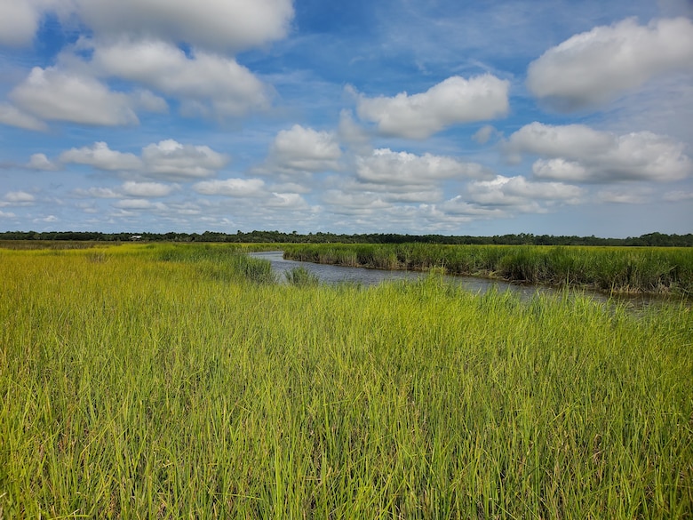 Salt marsh located in the Satilla River estuary, Georgia near the Noyes Cut project site in November 2020.