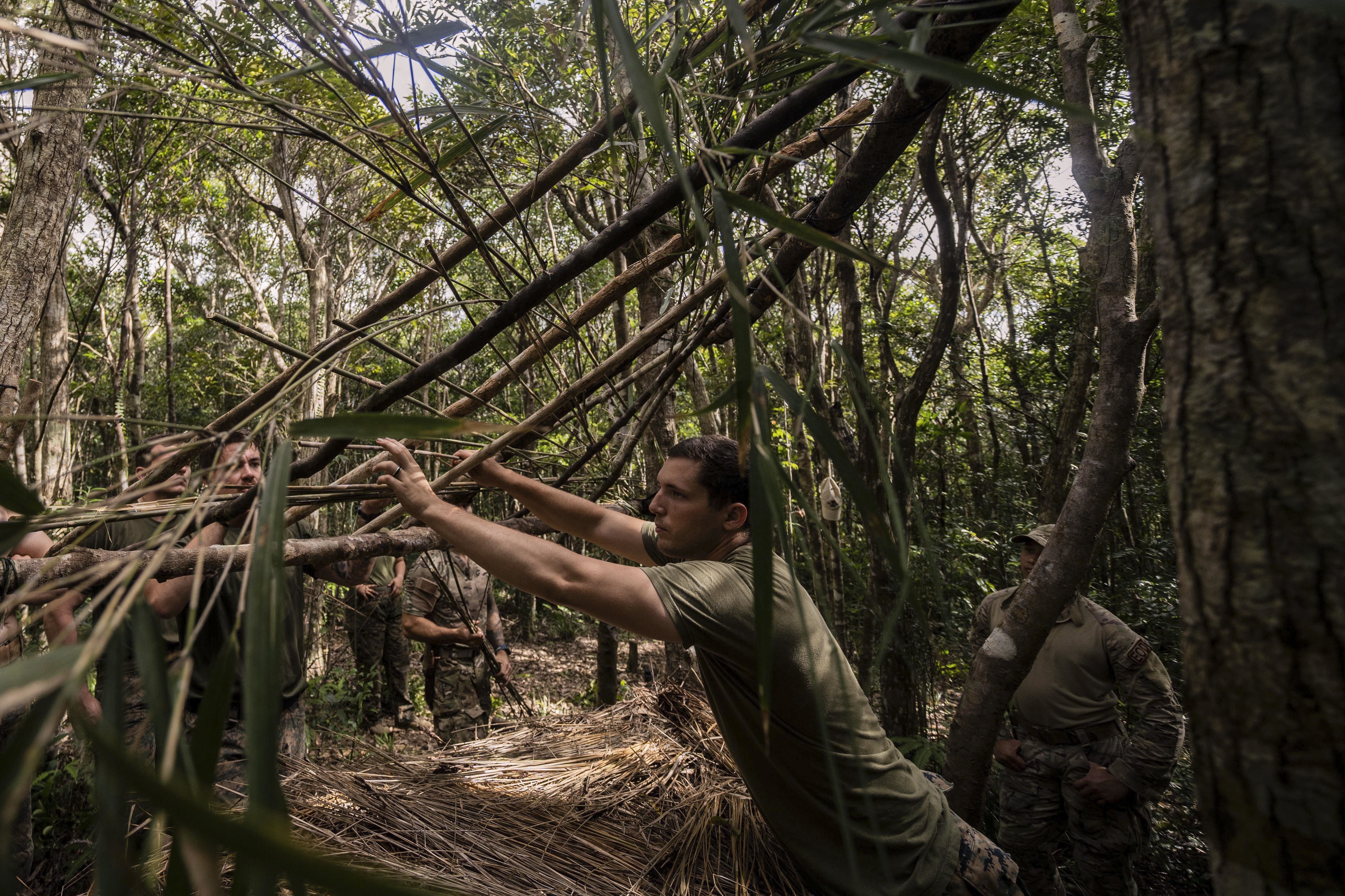 jungle survival shelter