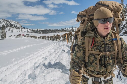 Photo of Marine's in a line taking part in a conditioning hike.