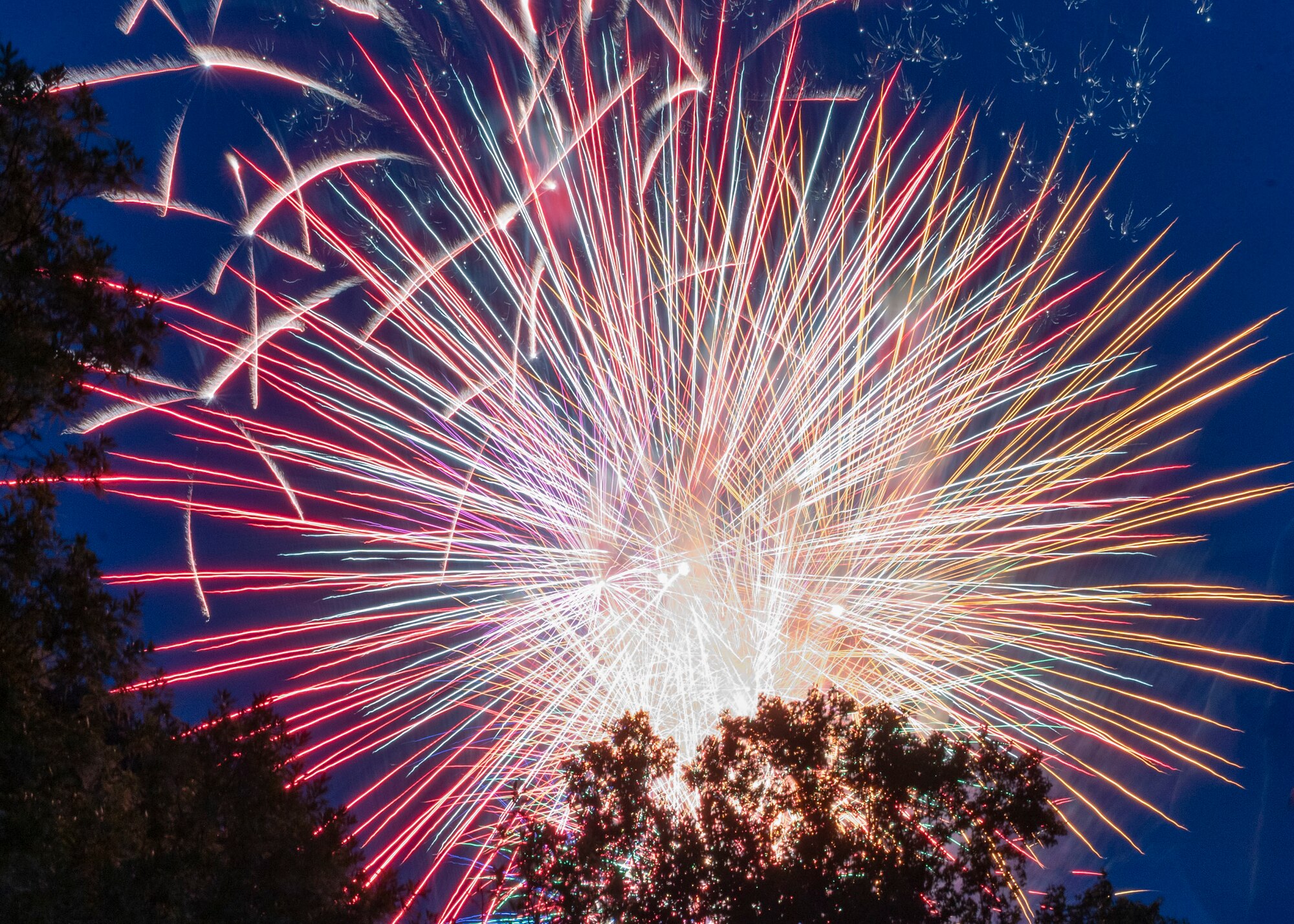 A display of fireworks go off in the sky during a 4th of July celebration at Seymour Johnson Air Force Base, North Carolina, June 30, 2022.