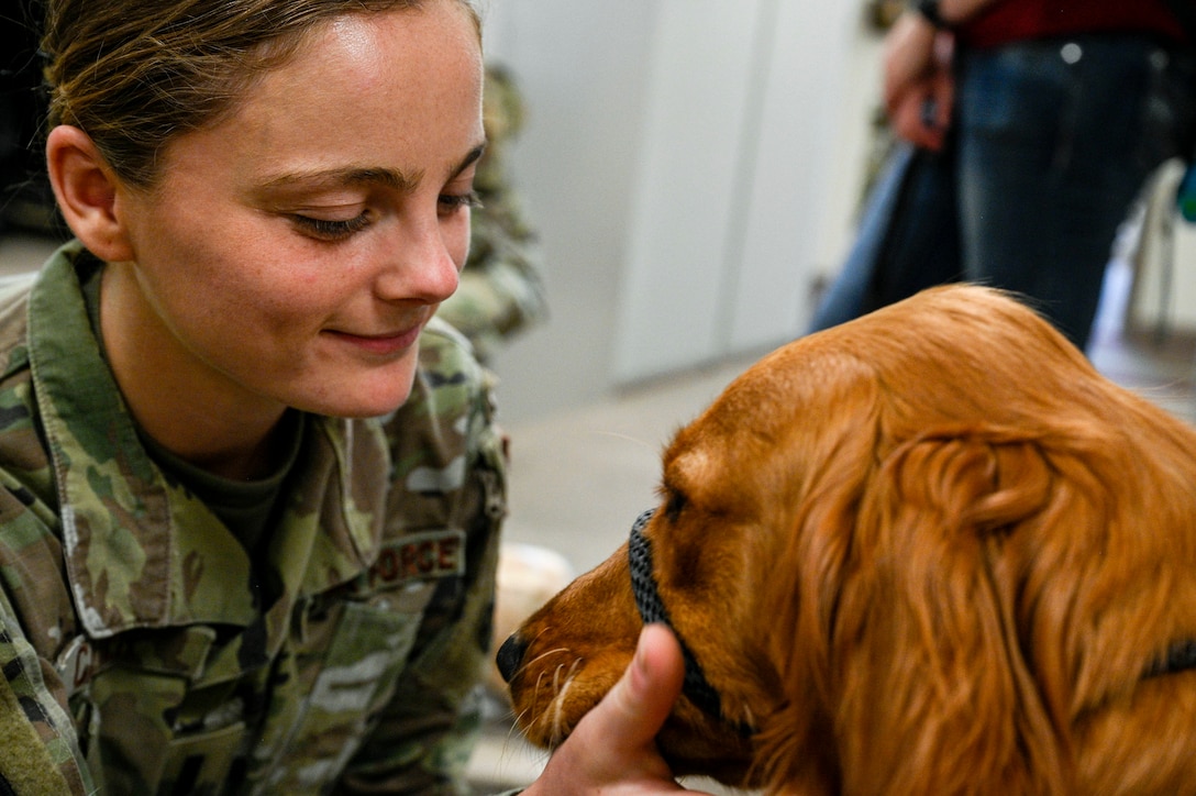 An airman kneels and pets a golden retriever.