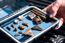 hand holding box of fossil teeth