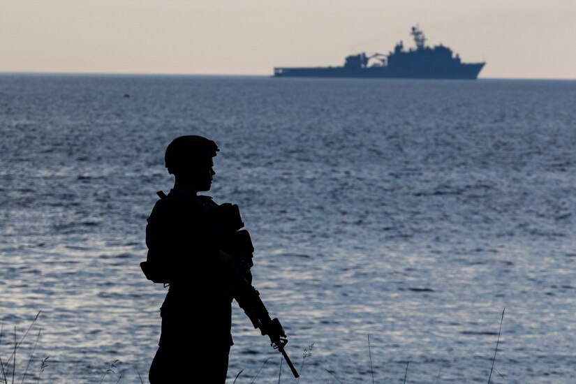 A service member holding a weapon stands on land with naval ship in the sea in the background.