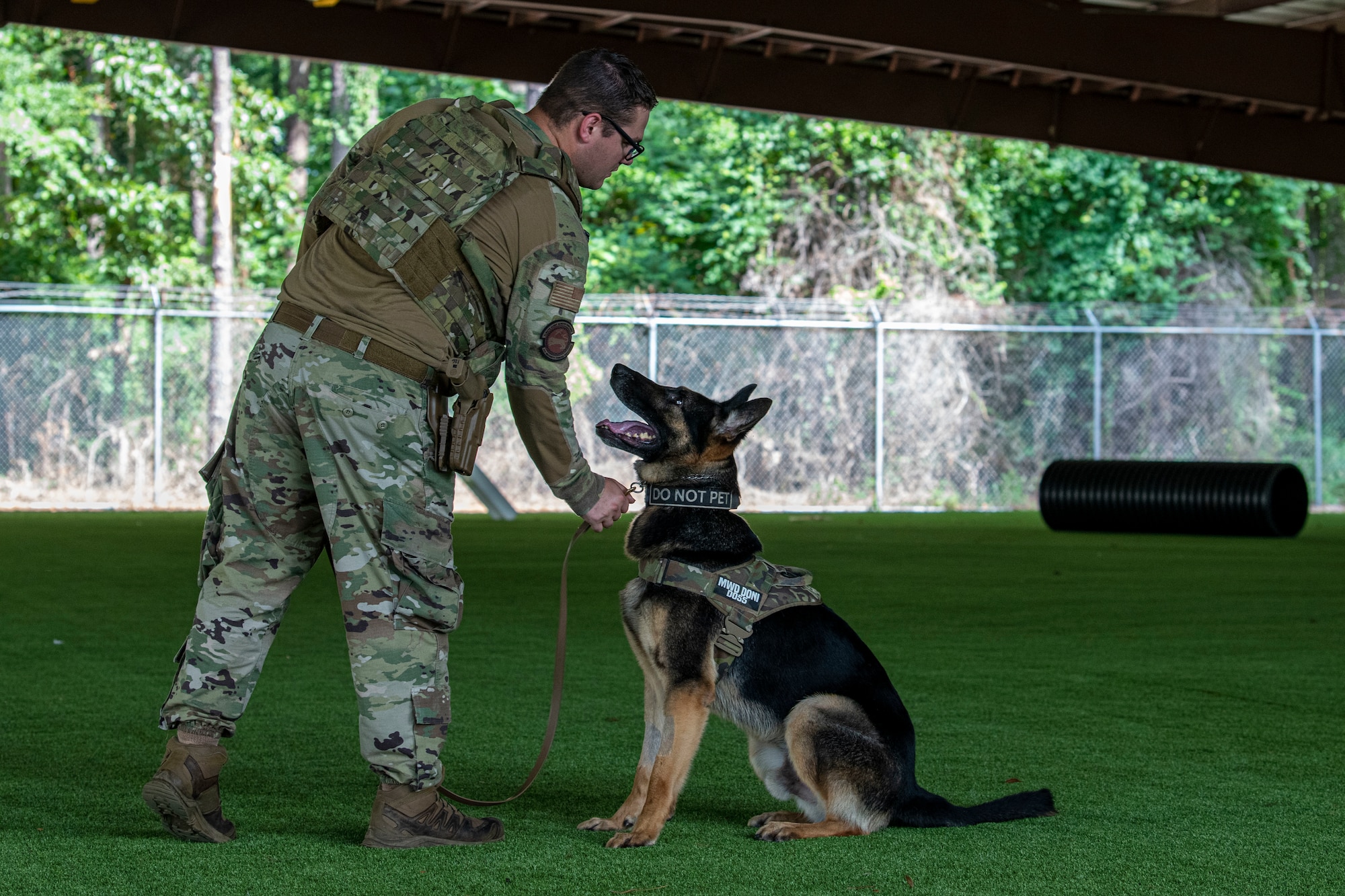 Staff Sgt. Kyle Johnson, 4th Security Forces Squadron military working dog handler, conducts obedience training with MWD Donni at Seymour Johnson Air Force Base, North Carolina, July 6, 2022. MWDs are required to complete obedience, obstacle course, scout, building search and a session of gunfire training to receive a patrol certification. (U.S. Air Force photo by Airman 1st Class Sabrina Fuller)