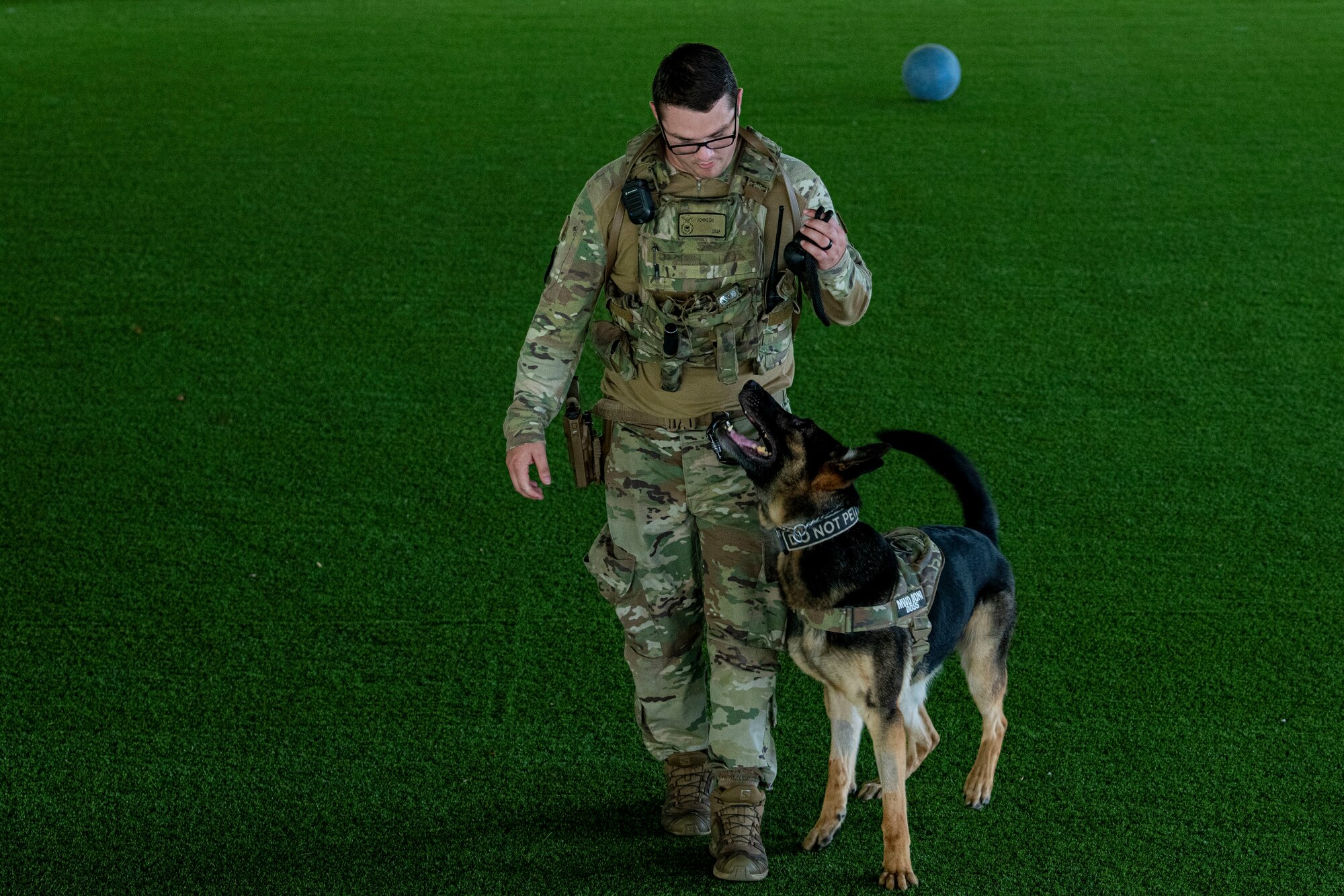 Staff Sgt. Kyle Johnson, 4th Security Forces Squadron military working dog handler, performs obedience training with MWD Donni at Seymour Johnson Air Force Base, North Carolina, July 6, 2022. MWD handlers are responsible for forming a relationship with their MWD to ensure trust and ability to follow commands. (U.S. Air Force photo by Airman 1st Class Sabrina Fuller)