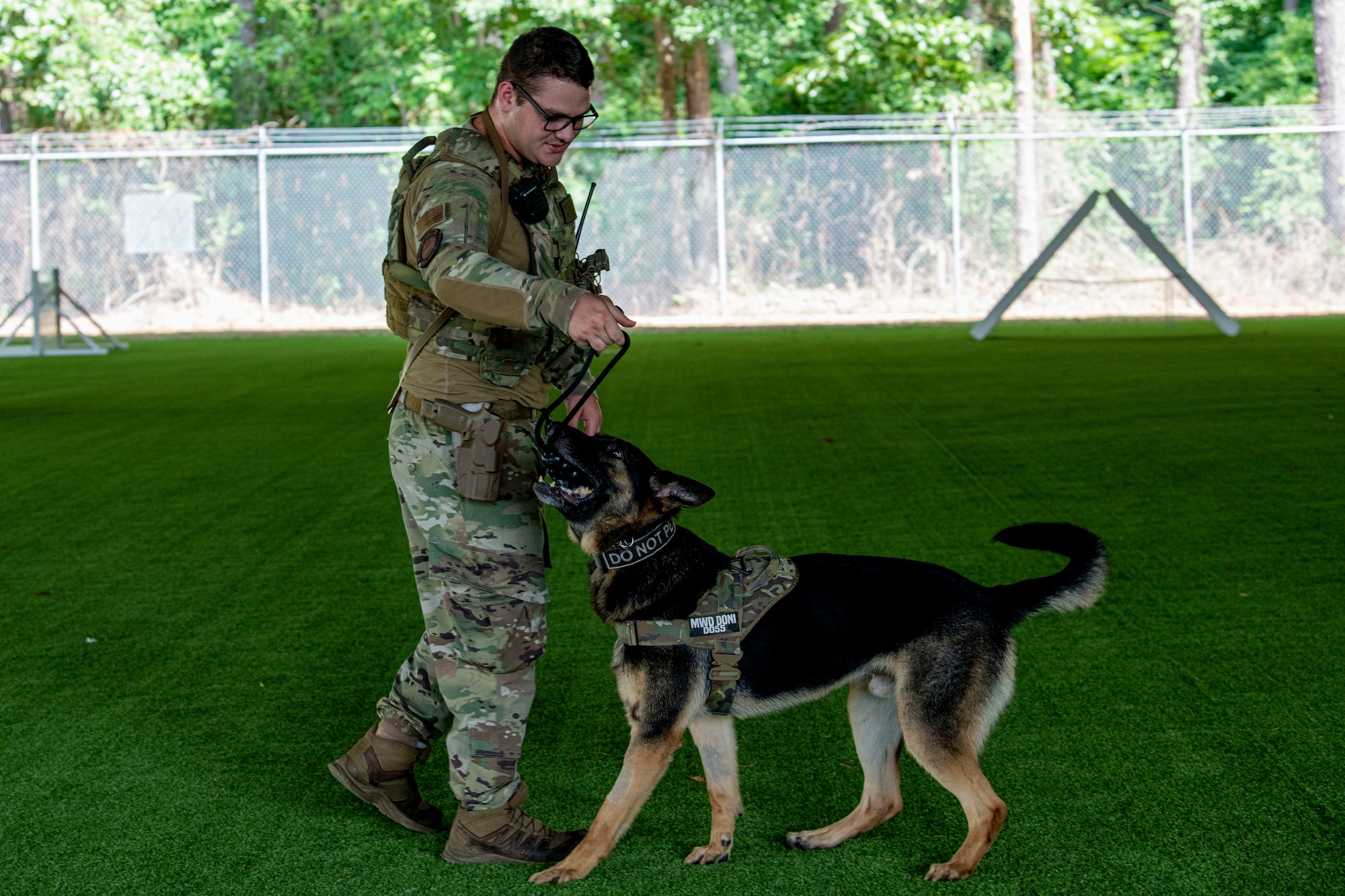 Staff Sgt. Kyle Johnson, 4th Security Forces Squadron military working dog handler, performs obedience training with MWD Donni at Seymour Johnson Air Force Base, North Carolina, July 6, 2022. MWDs help detain subjects and detect explosives to keep base assets safe. (U.S. Air Force photo by Airman 1st Class Sabrina Fuller)