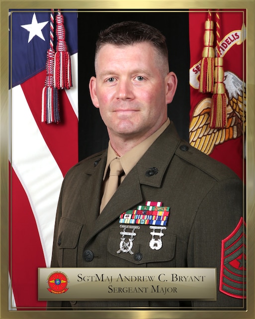 Sergeant Major Marine Wing Communications Squadron 18 > 1st Marine ...