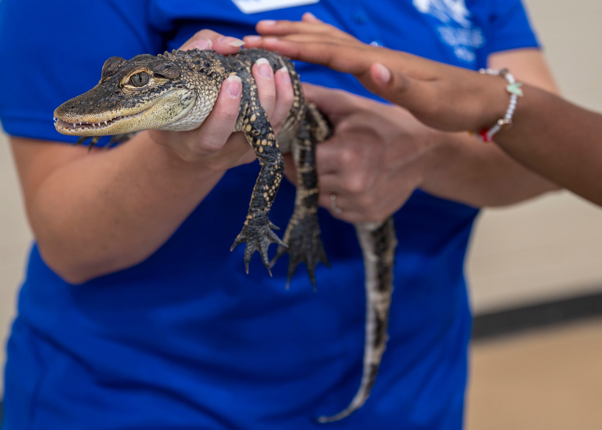 A child, who is part of the Exceptional Family Member Program, interacts with an alligator during an aquarium excursion event at Seymour Johnson Air Force Base, North Carolina, July 15, 2022.