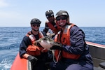 (Left to right) U.S. Coast Guard Petty Officer 3rd Class Dylan Neathery, Senegalese Navy Lt. Papa Ousmane Sylla, and U.S. Coast Guard Petty Officer 2nd Class Caitlyn Mason pose for a photo after rescuing a sea turtle caught in a fishing net in the Atlantic Ocean, July 14, 2022. USCGC Mohawk is on a scheduled deployment in the U.S. Naval Forces Africa area of operations, employed by U.S. Sixth Fleet to defend U.S., allied, and partner interests. (U.S. Coast Guard photo by Petty Officer 3rd Class Jessica Fontenette)