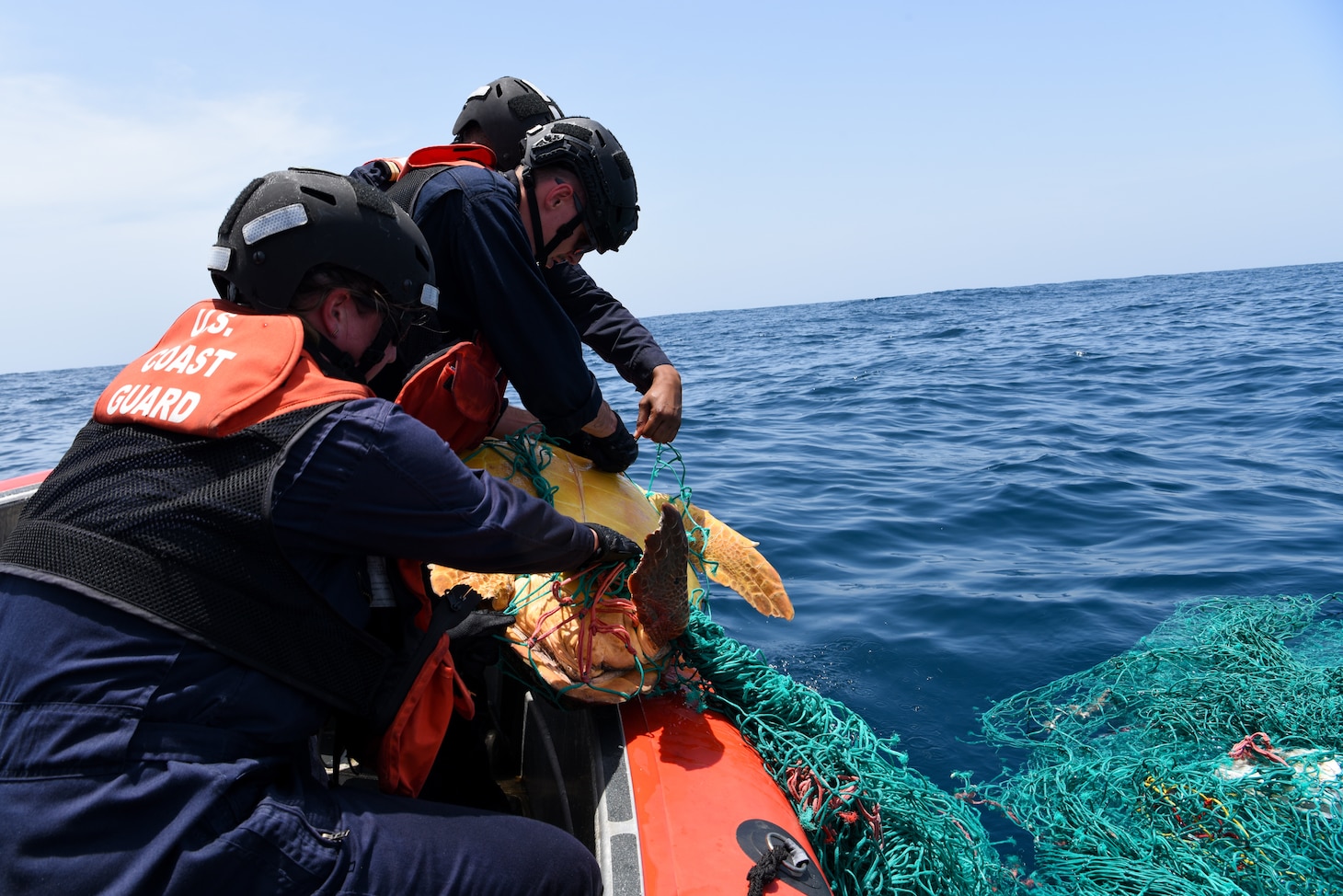 (Left to right) U.S. Coast Guard Petty Officer 2nd Class Caitlyn Mason and Petty Officer 3rd Class Dylan Neathery, assigned to the Famous-class medium endurance cutter USCGC Mohawk (WMEC 913), rescue a sea turtle caught in a fishing net in the Atlantic Ocean, July 14, 2022. USCGC Mohawk is on a scheduled deployment in the U.S. Naval Forces Africa area of operations, employed by U.S. Sixth Fleet to defend U.S., allied, and partner interests.