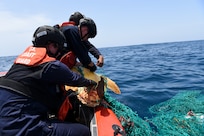 (Left to right) U.S. Coast Guard Petty Officer 2nd Class Caitlyn Mason and Petty Officer 3rd Class Dylan Neathery, assigned to the Famous-class medium endurance cutter USCGC Mohawk (WMEC 913), rescue a sea turtle caught in a fishing net in the Atlantic Ocean, July 14, 2022. USCGC Mohawk is on a scheduled deployment in the U.S. Naval Forces Africa area of operations, employed by U.S. Sixth Fleet to defend U.S., allied, and partner interests.