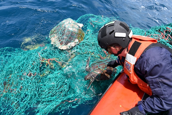 U.S. Coast Guard Petty Officer 3rd Class Caitlyn Mason, assigned to the Famous-class medium endurance cutter USCGC Mohawk (WMEC 913), rescues a sea turtle caught in a fishing net in the Atlantic Ocean, July 14, 2022. USCGC Mohawk is on a scheduled deployment in the U.S. Naval Forces Africa area of operations, employed by U.S. Sixth Fleet to defend U.S., allied, and partner interests. (U.S. Coast Guard photo by Petty Officer 3rd Class Jessica Fontenette)