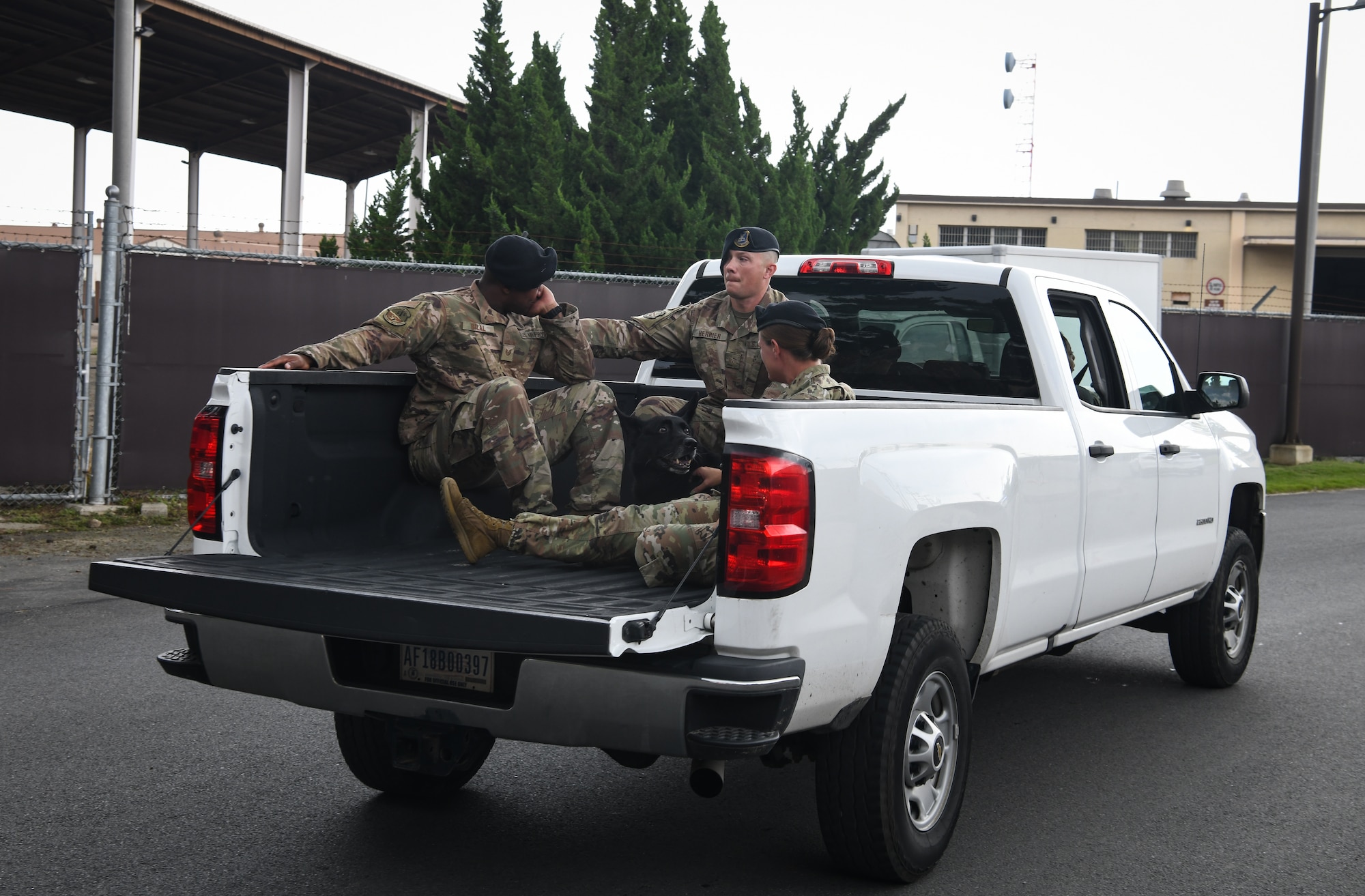 Military members and a working dog ride in the back of a truck.