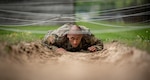 Competitors participate in  warrior tasks during the 2022 National Guard Bureau Region 2 Best Warrior Competition May 17-20, 2022, at Camp Dawson, Kingwood, West Virginia. Regional winners from across the nation advanced to the national competition in Tennessee.