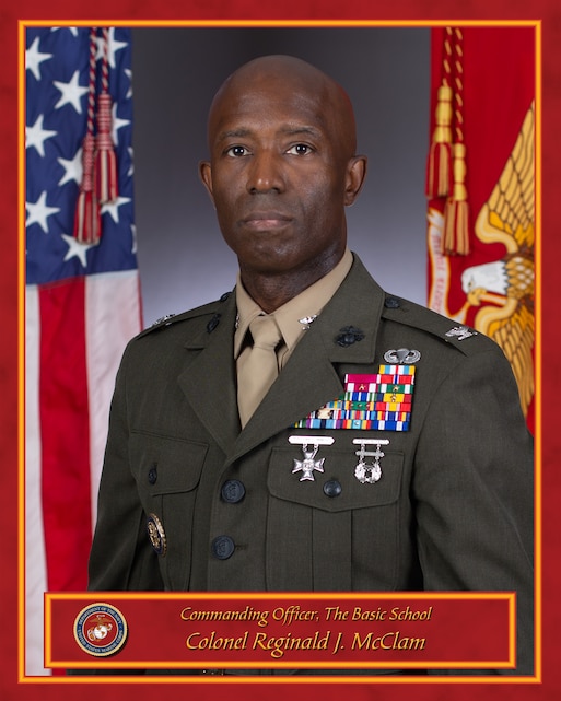 Colonel Reginald J. McClam > Training Command > Biography