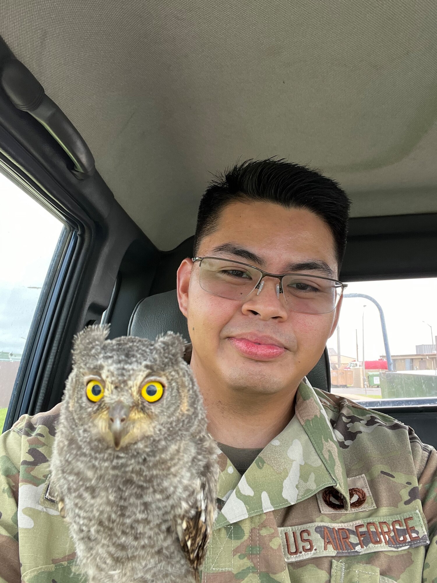 Owlet us hot sale