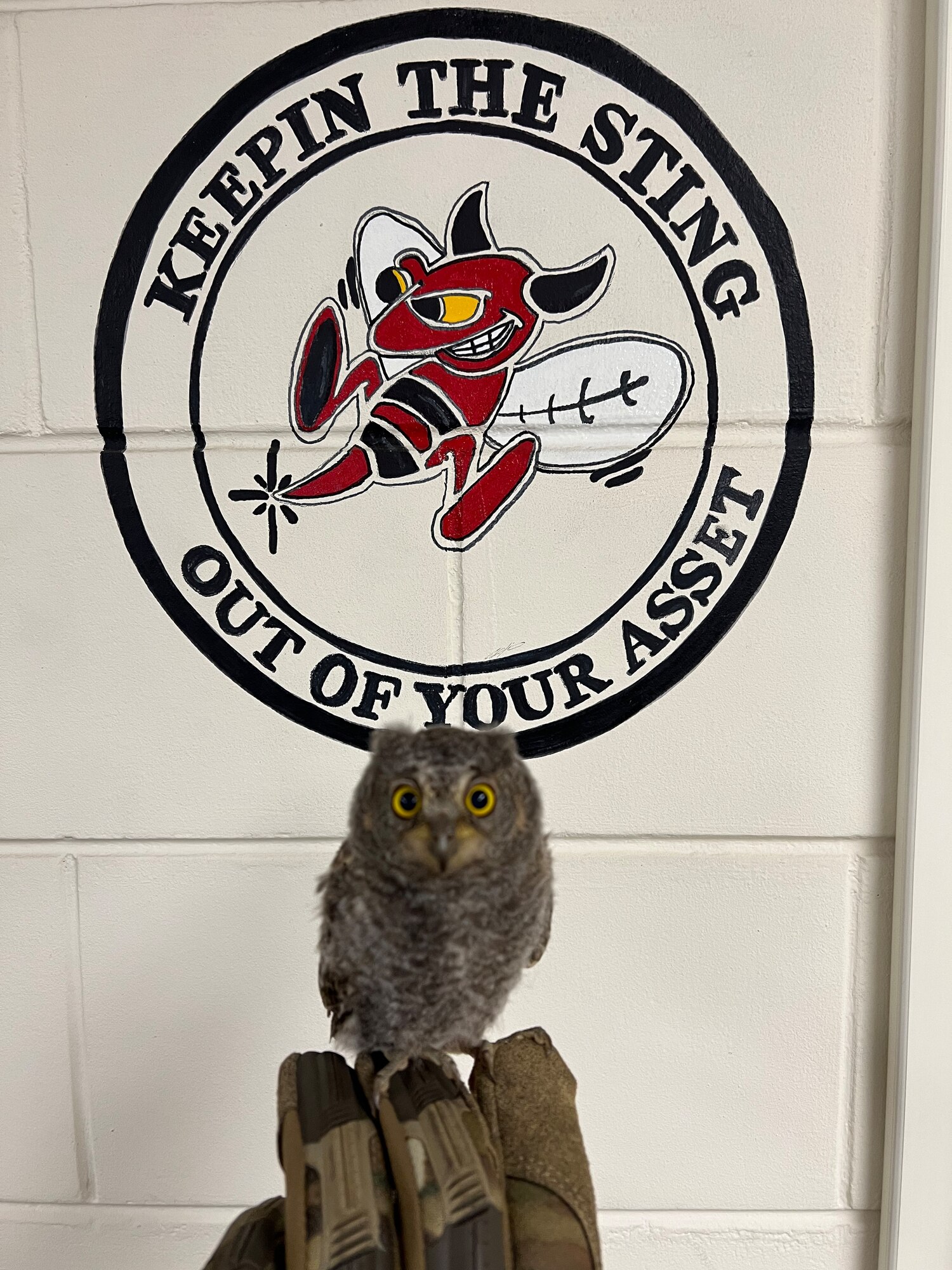 An owlet sitting on a glove below a unit logo