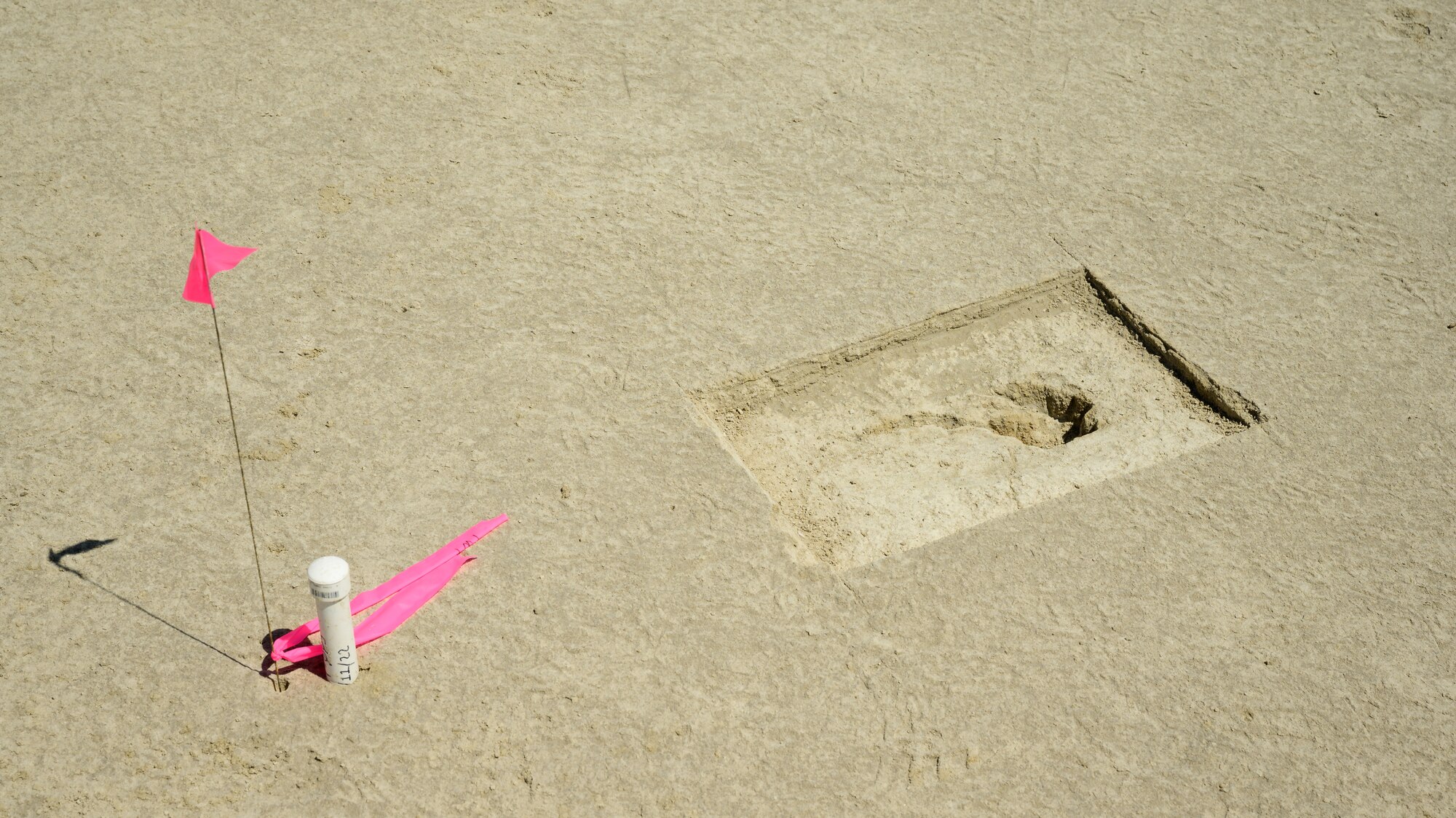 A footprint appears on an archaeological site marked with a pink pin flag.