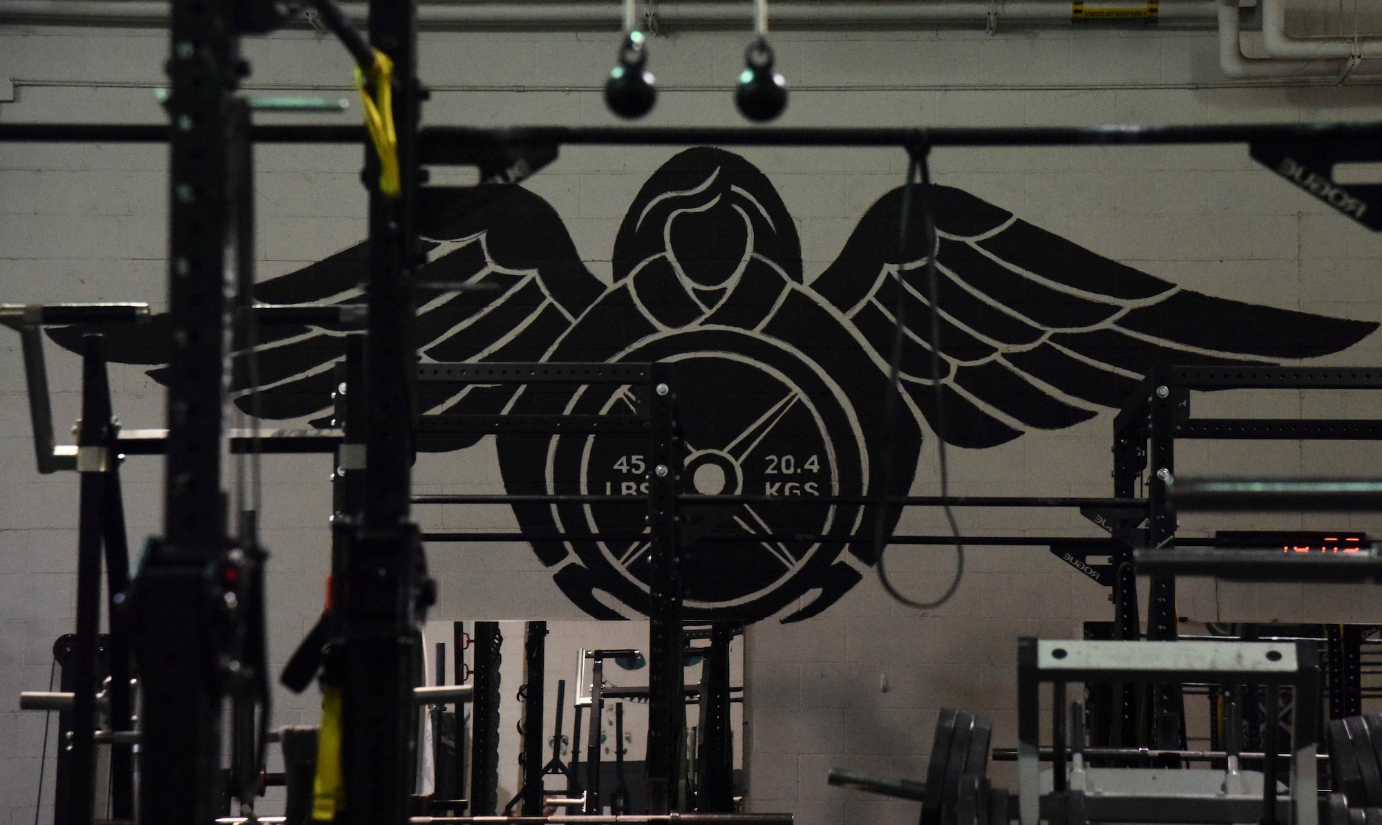 Pictured above is a rescue logo painted onto a gym wall.