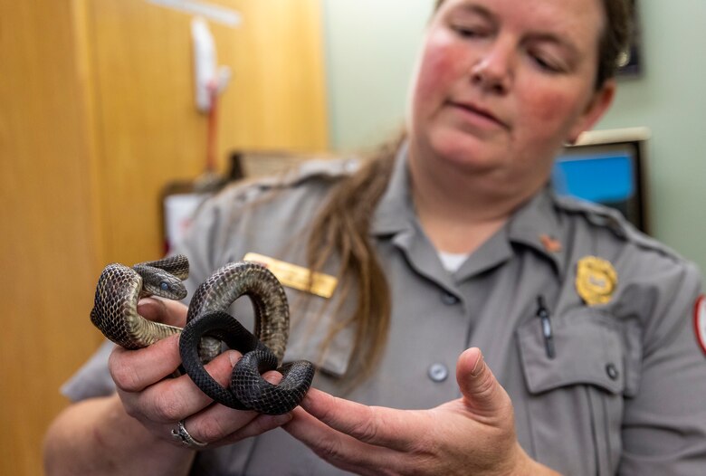 Karen Osler is an animal lover and a park ranger for the U.S. Army Corps of Engineers Pittsburgh District