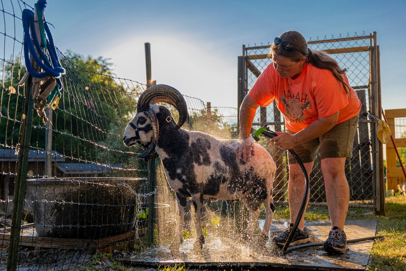Karen Osler is an animal lover and a park ranger for the U.S. Army Corps of Engineers Pittsburgh District
