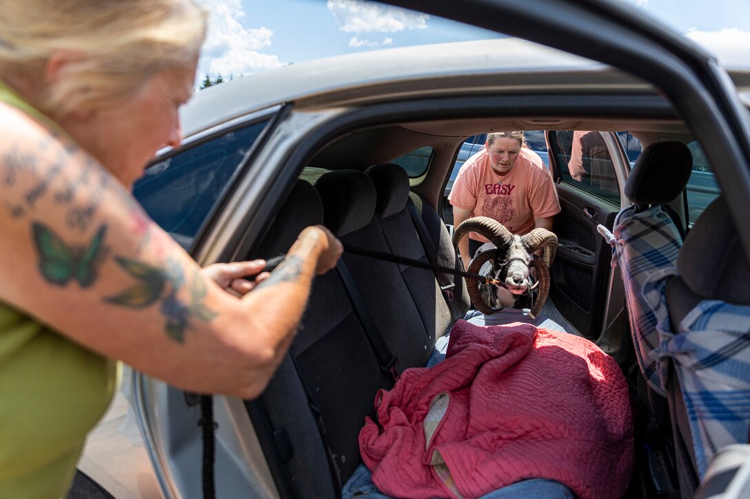 Karen Osler is an animal lover and a park ranger for the U.S. Army Corps of Engineers Pittsburgh District