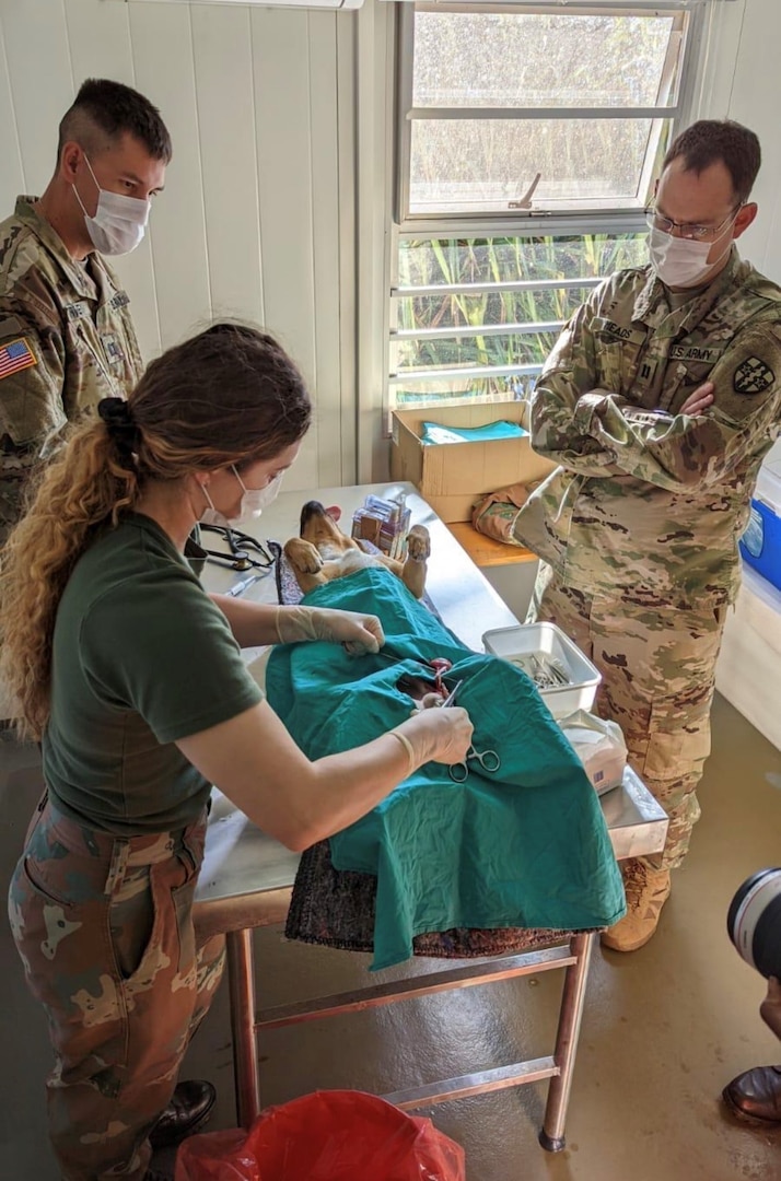 Army Reserve Capts. John Harvey, left, and Smith Meads, right, watch as South African Military Health Services Cadet officer Connie Swanepole works on a dog during a veterinary outreach clinic near Richards Bay, South Africa, July 25, 2022. The clinic was part of Shared Accord, an exercise that pairs American and African military personnel.