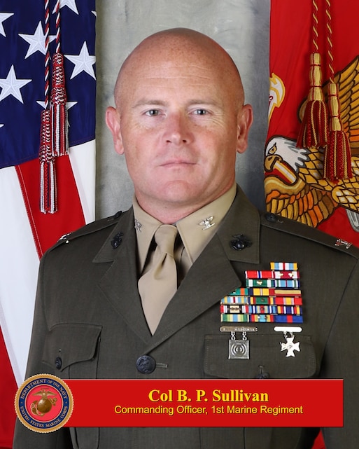 Colonel Brendan P. Sullivan > 1st Marine Division > Biography