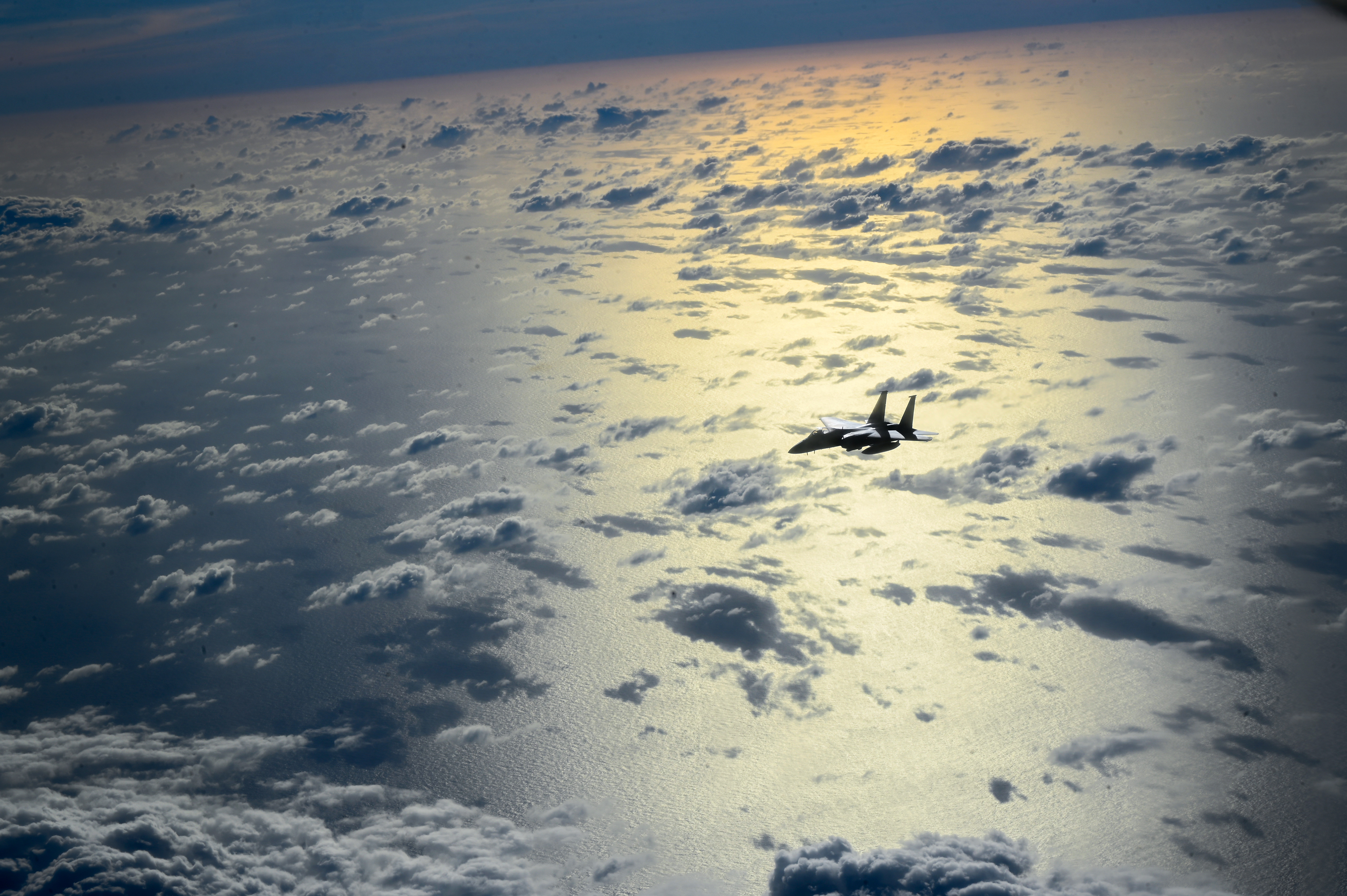 RRL イーグル　USARMY USAFA ネイティブ ボルチモア　デップ RRL イーグル USARMY USAFA ネイティブ ボルチモア デップ