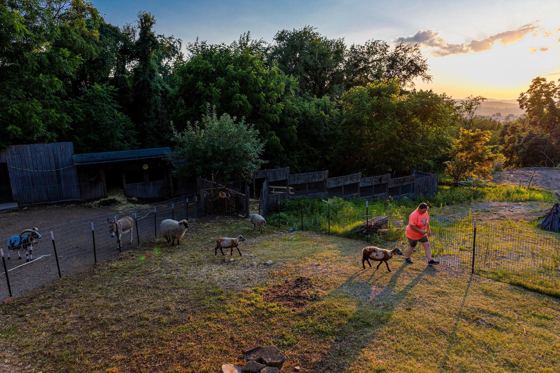Karen Osler is an animal lover and a park ranger for the U.S. Army Corps of Engineers Pittsburgh District
