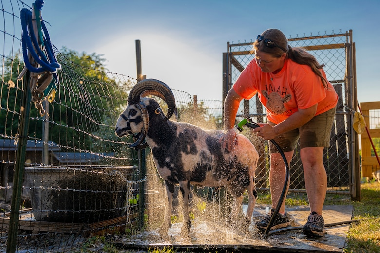 Karen Osler is an animal lover and a park ranger for the U.S. Army Corps of Engineers Pittsburgh District