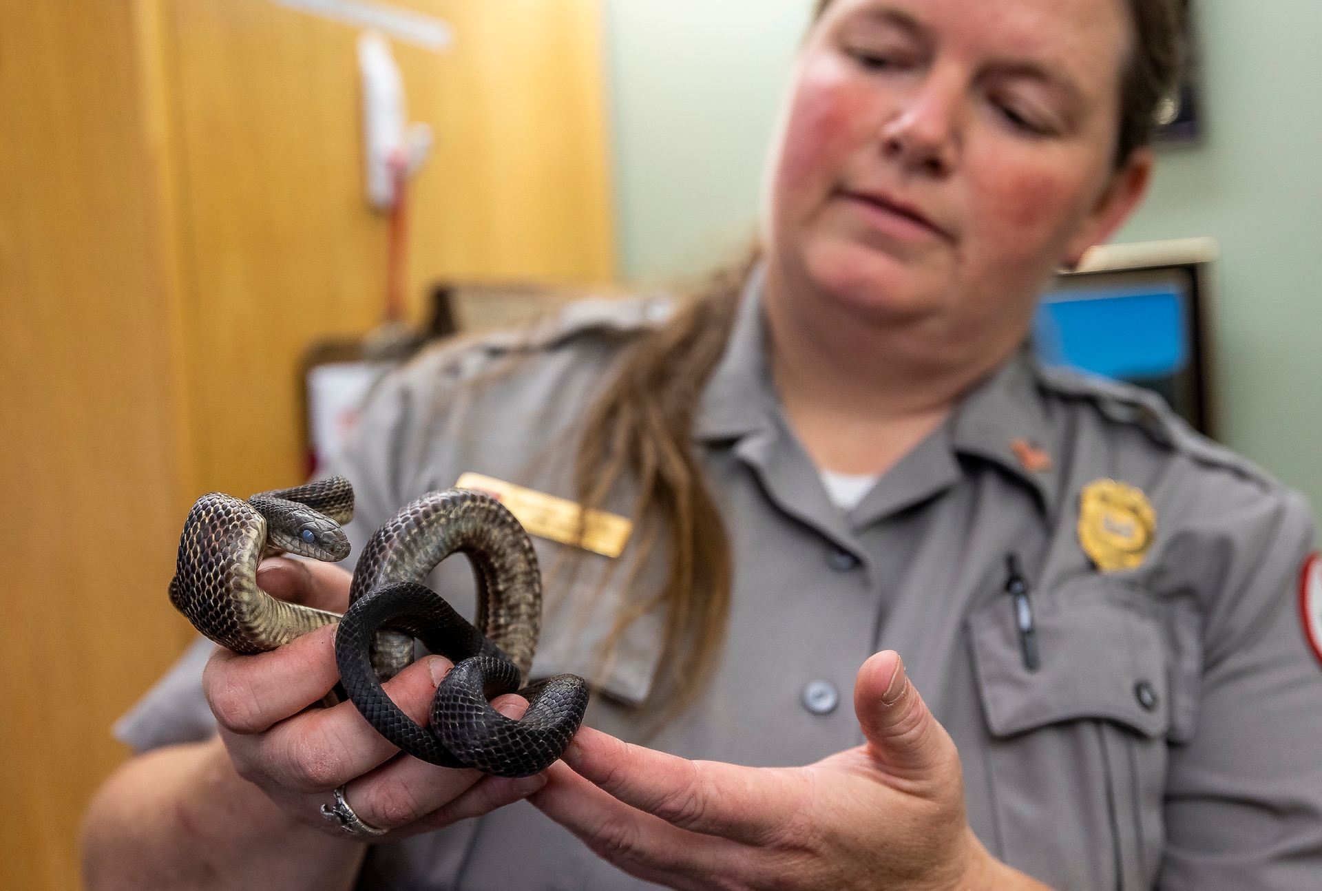 Karen Osler is an animal lover and a park ranger for the U.S. Army Corps of Engineers Pittsburgh District