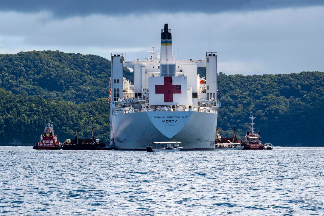 A hospital ship is anchored off a wooded coastline.