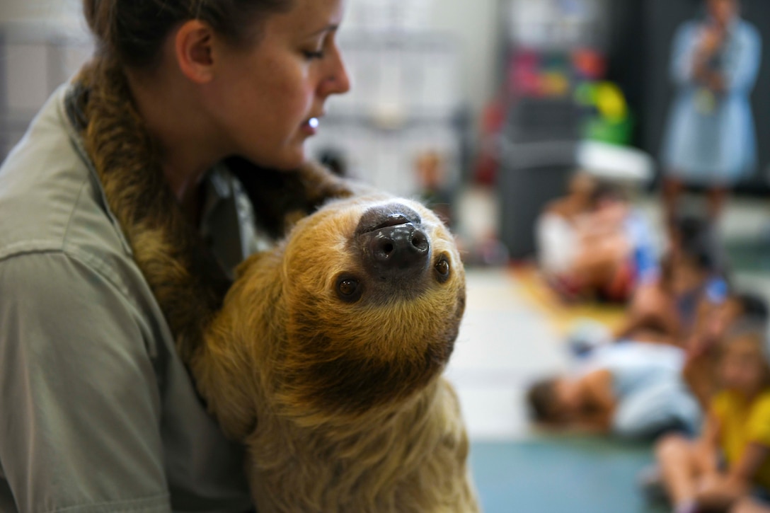 A zookeep holds a sloth in front of a group of children.