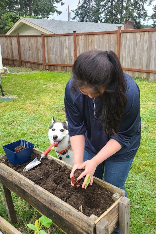 Photo of Mary Hesser planting in her raised garden in her backyard. Her dog Rocky looks on.