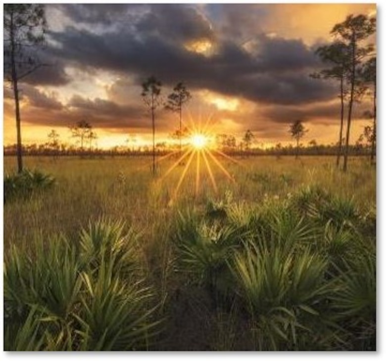 Wetlands with sunburst