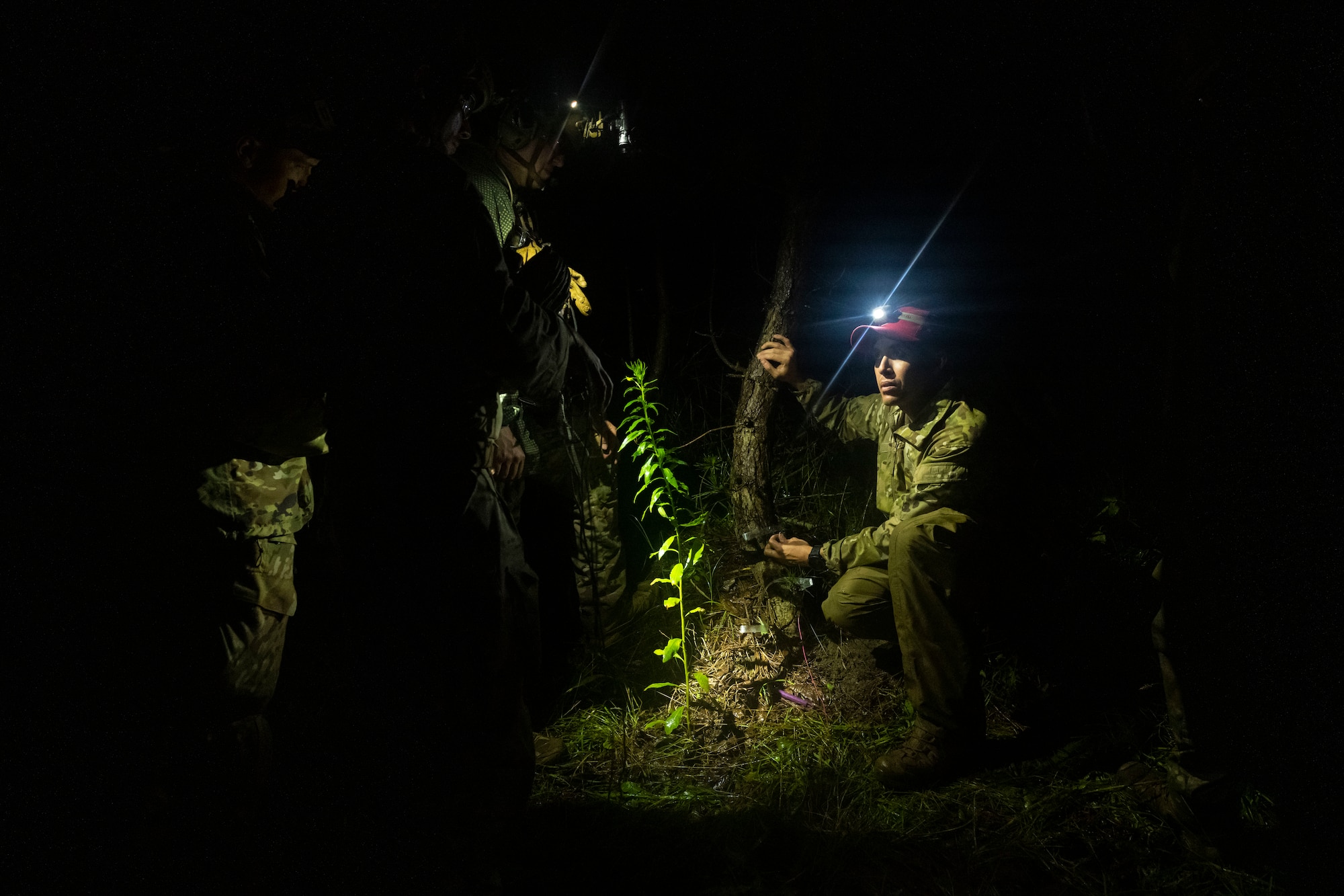 U.S. military members in tactical gear kneels and holds a wire from a tree.