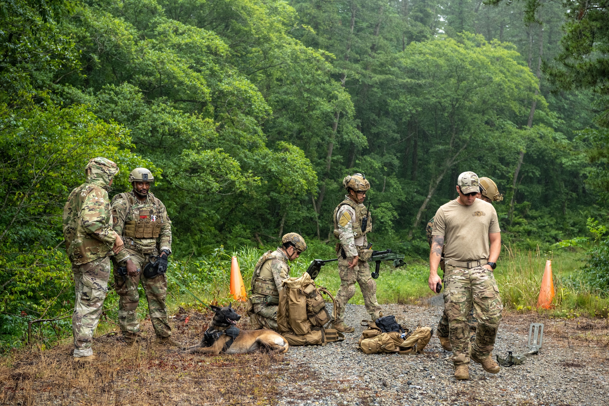 U.S. military members and a military working dog in tactical gear stand on a trail